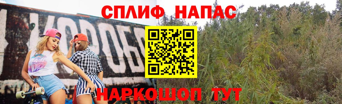 Шишки марихуана план Обнинск